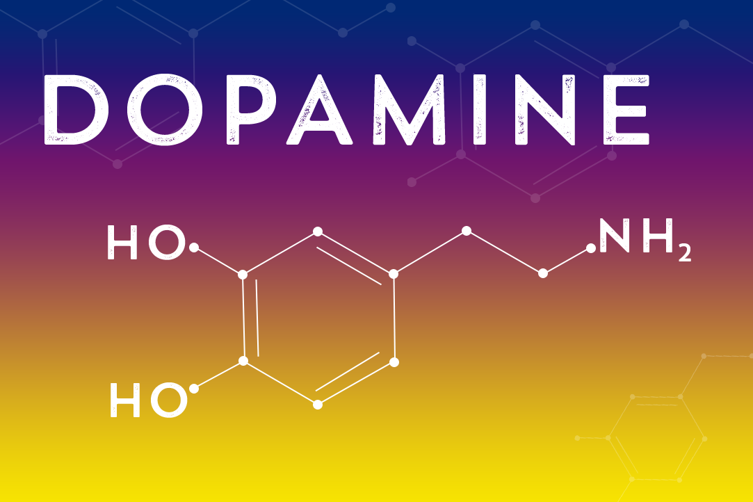 Dopamine And Drug Addiction